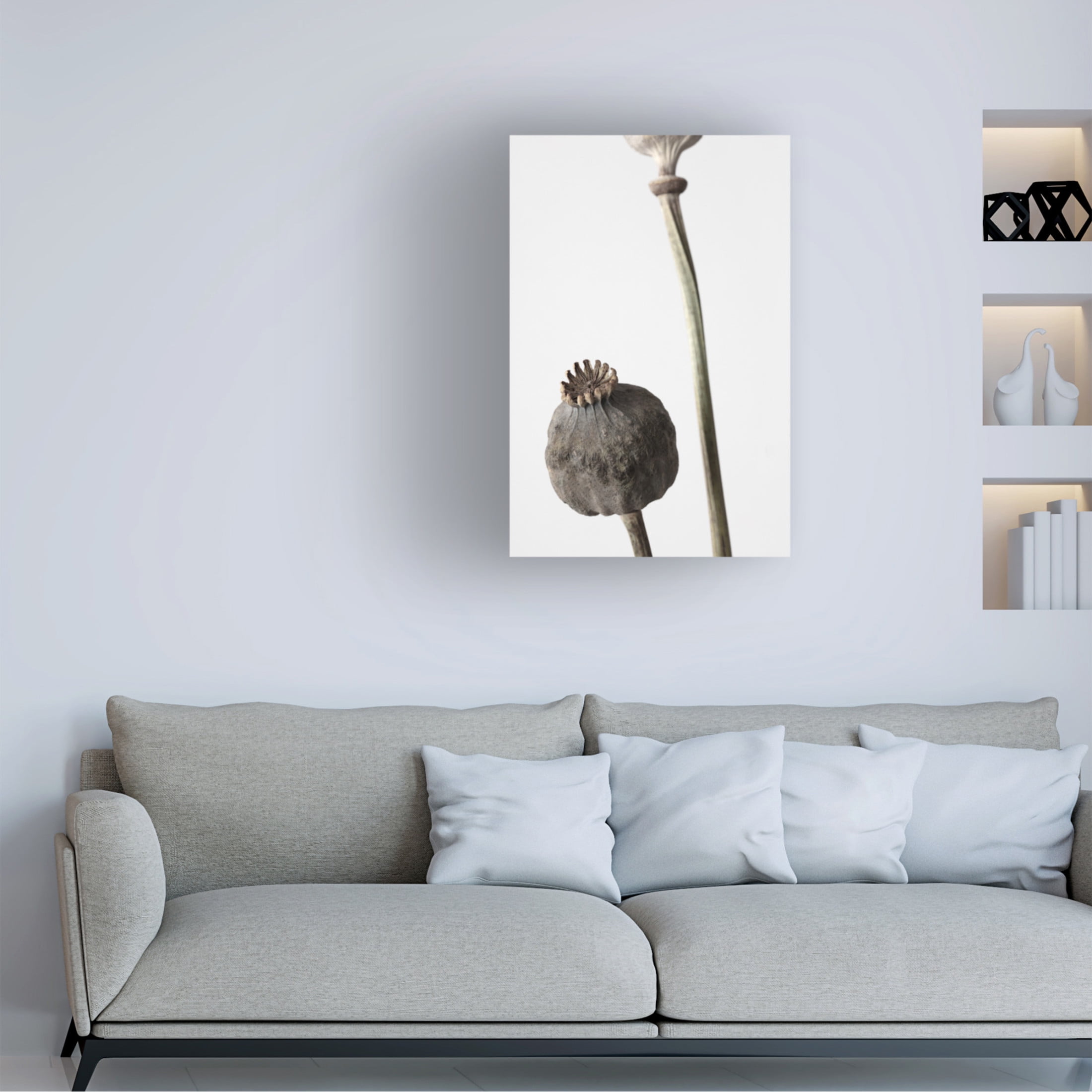 Trademark Fine Art Pictufy Studio Dried Canvas Wall Art