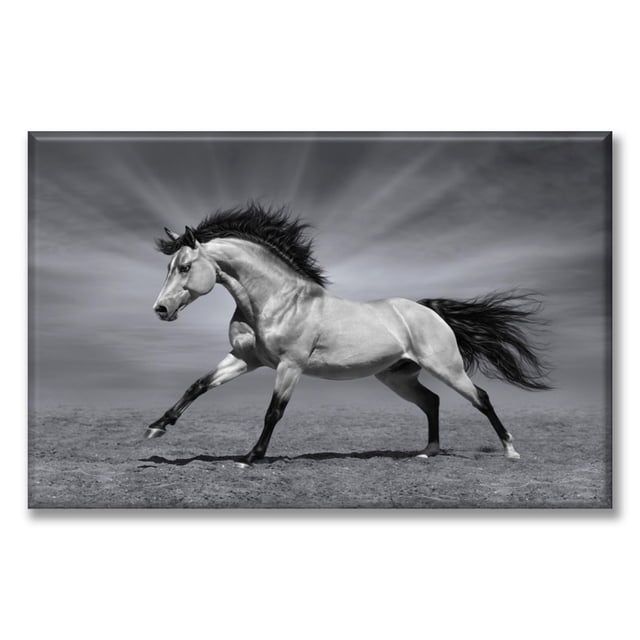 Cuadro Canva Listo Para Colgar Tipo Galería Caballo Pura Sangre 40X60 cm Pixtreats Canva