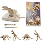 Buddy N Buddies Dino Dig, Dinosaur Fossil Excavation Kits ,Children's Popular Science Education Toys (Triceratops)