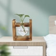 thumbnail image 3 of Innovative Flower Pot, Decorative Transparent Tabletop Vase For Indoor Outdoor Plants, 3 of 8