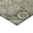 thumbnail image 3 of Addison Rugs Chantille Indoor/Outdoor Traditional Global Sage Machine Washable Runner Rug, 2'3" x 7'6", 3 of 7