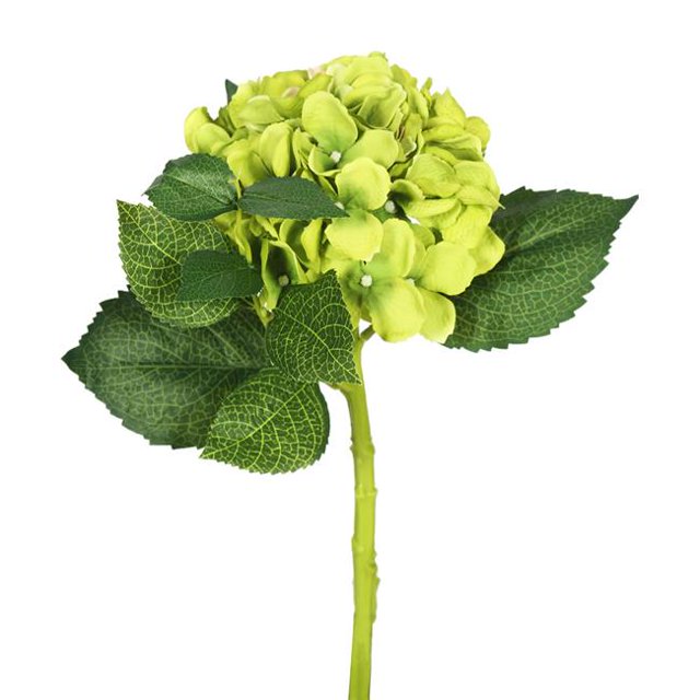 Short Hydrangea X2 Floral Stem, Green - Pack of 3