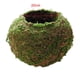 thumbnail image 2 of Bola de plantación de interior / exterior 18 cm Gloria Moss Ball Flower Pot, 2 of 9