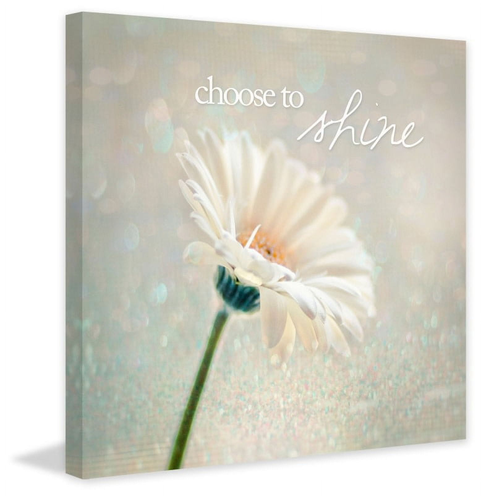 Marmont Hill "Choose to Shine" Sylvia Cook Painting Print on Canvas