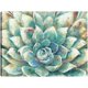 thumbnail image 1 of Cuadro Decorativo - flor de cacto Jr Impresión en canvas, estrechado, 1 of 2