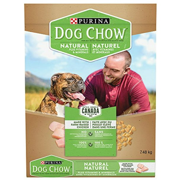 E-DOG CHOW CHOW DOG Naturel