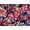 Sparkler Leaf Print, variant on Swimsuits for All Women's Tie Front V-Neck Swimdress
