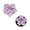 🔥 E_New#53, variant on Flower Car Air Freshener Clip 2 Pack | Peach Blossom Scent, Resin Petals, Vent Diffuser, Long-Lasting Fragrance, Fits Most Cars, Gradient Design, Chemical-Free Safe Gift