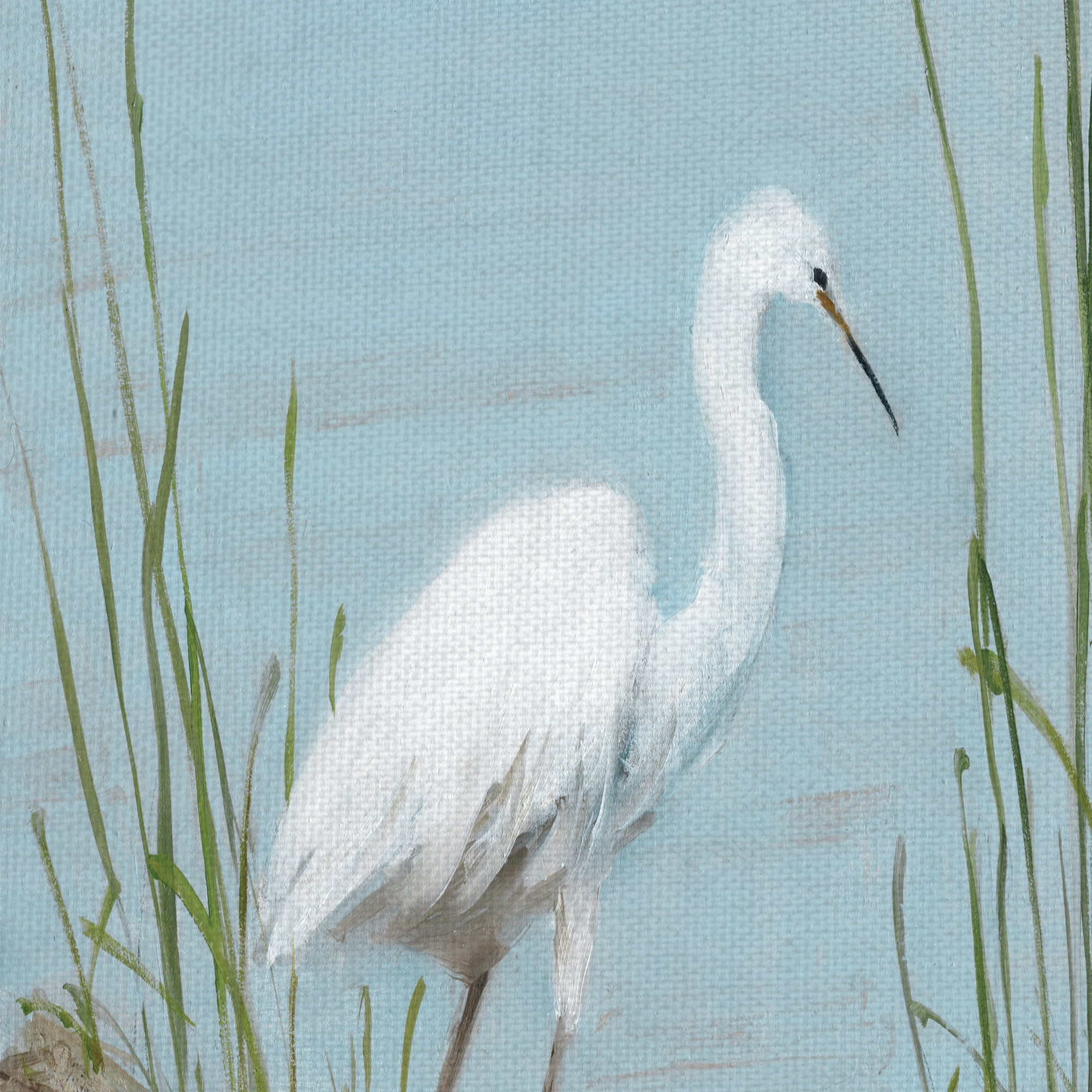 Masterpiece Art Gallery White Shorebird I by Sally Swatland Canvas Art Print 12" x 36"