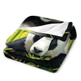 thumbnail image 3 of NIANHE Panda bear bamboo trees gras blanket, comfortable and soft, warm casual blanket, printed design, winter sofa dormitory home decoration, must-have travel product. Size is 50x60 inches., 3 of 9