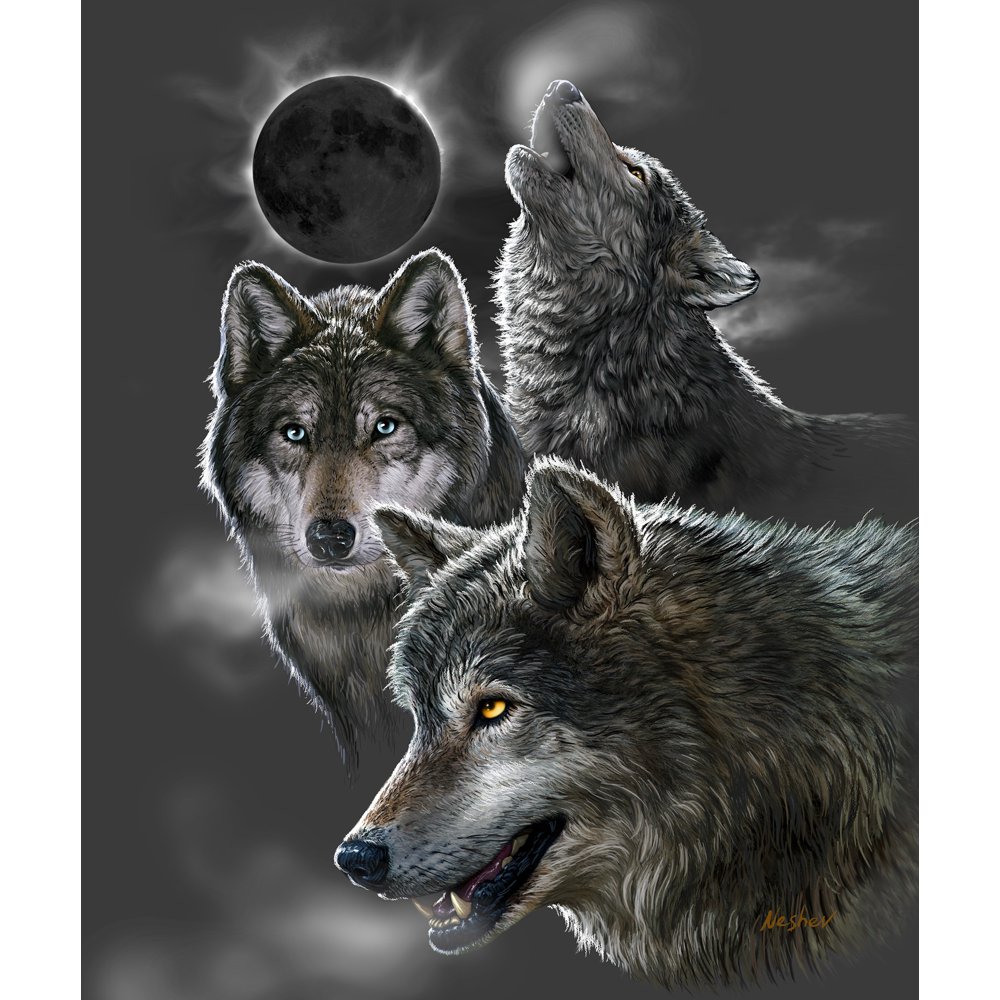 Dawhud Direct Eclipse Wolves Super Soft Plush Fleece Throw ...