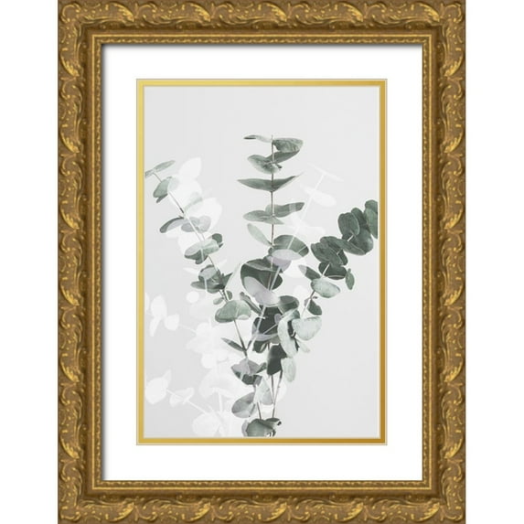 Artographie Studio 17x24 Gold Ornate Wood Framed with Double Matting Museum Art Print Titled - Eucalyptus Creative 07