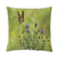 thumbnail image 2 of Ahgly Company Insects Butterfly Indoor Throw Pillow, 18 inch by 18 inch, 2 of 6