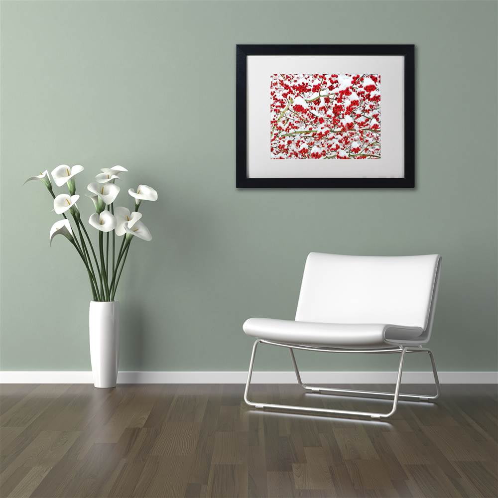 Trademark Fine Art "Winter Berries in the Snow" Canvas Art by Kurt Shaffer White Matte, Black Frame