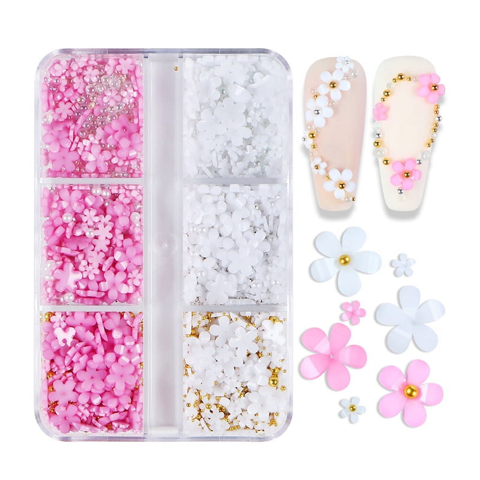 3D Flower Nail Charms TEOYALL 2 Boxes Acrylic Flowers for Nail Art Design  with Gold and Silver Caviar Beads Manicure DIY Decorations (2 Multicolor)