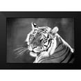 thumbnail image 2 of Jaynes, William D. 24x17 Black Modern Framed Museum Art Print Titled - Jungle Cat, 2 of 5