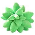 thumbnail image 2 of Almohada decorativa Colco de cactus suculentas Peluche 25cm, 2 of 8