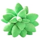 thumbnail image 2 of Almohada decorativa Colco de cactus suculentas Peluche 25cm, 2 of 8