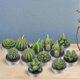 thumbnail image 3 of 12 velas con forma de cactus, velas artificiales con forma de plantas suculentas, para el Día de San Valentín., 3 of 3