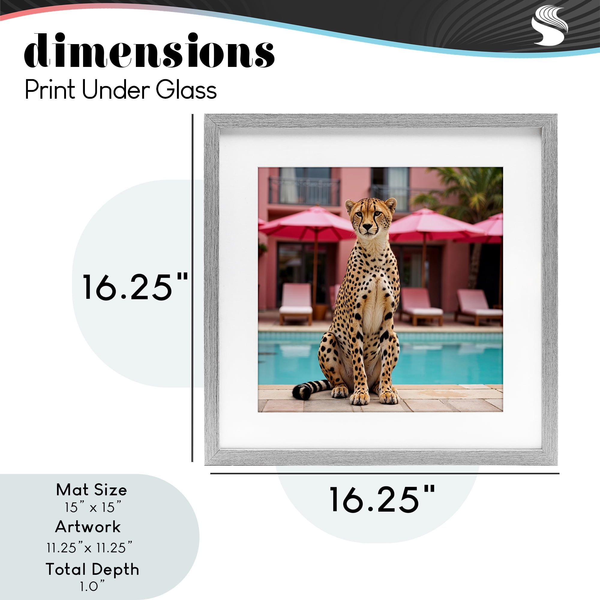 Cheetah Posed at Poolside Gray Framed Print Under Glass, design by Lettered and Lined