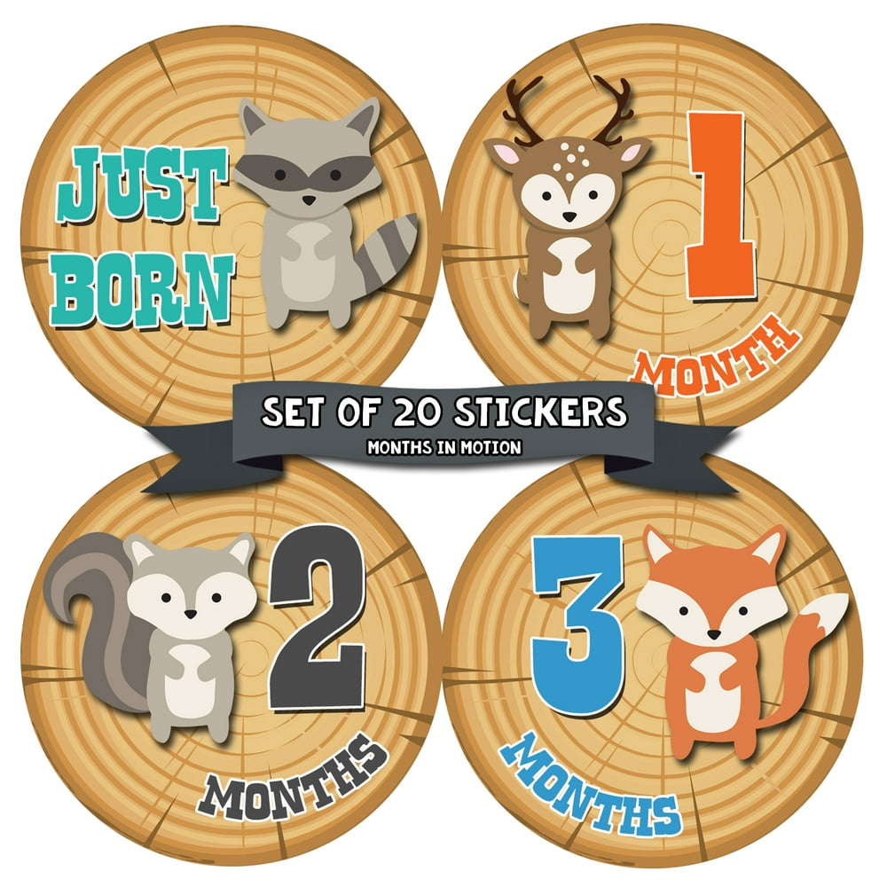 Baby Monthly Milestone Stickers First Year Set of Baby Boy Month