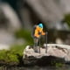 thumbnail image 1 of Figura de Escalada de Resina 1/87 CUTICAT NARANJA, 1 of 8