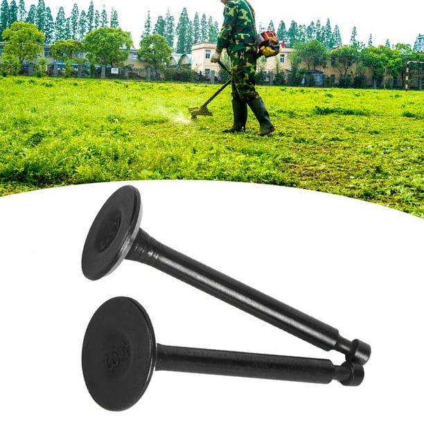 YLSHRF Inlet Exhaust Valve Set,Lawn Mower Accessory,2Pcs Lawn Mower