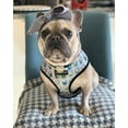 thumbnail image 4 of French Bulldog Harness | Versatile Health Harness | Mint StarPup, 4 of 16