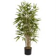 thumbnail image 1 of 3.5 ft. Twiggy Bamboo Tree, 1 of 1