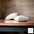 thumbnail image 1 of Pack de 2 almohada Estàndar Microfibra Firme | Descanso Ergonómico | Soft Nature, 1 of 5