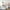 White, variant on Full Over Full Bunk Bed with Ladder and Safety Rails Full Bunk Bed with Twin Size Trundle, Pine Wood Bunk Beds, Convertible to 2 Full-Size Platform Bed(White,Full over Full)