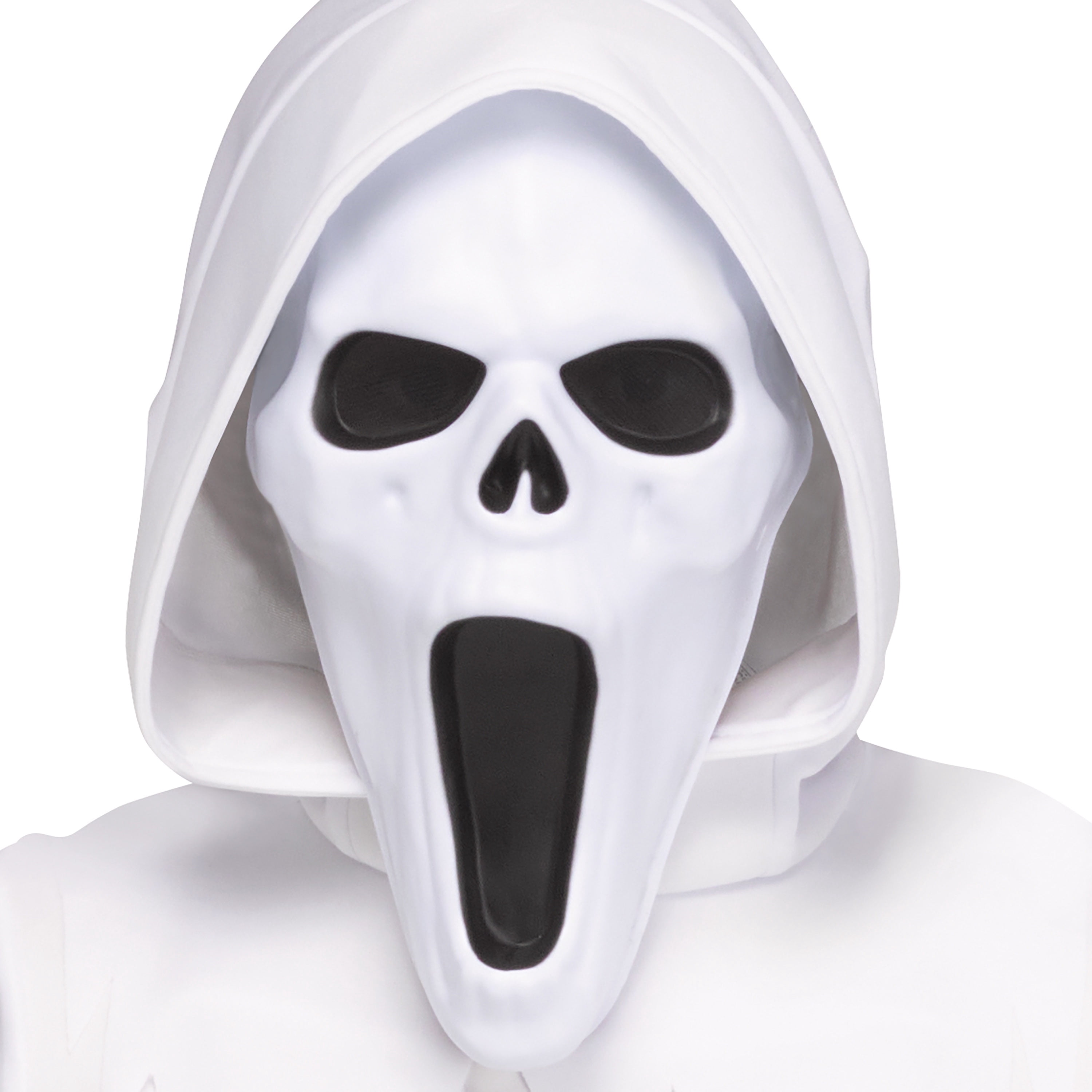 Banshee Ghost Halloween Costume for Children, Boys Size L (10/12), by Fun World