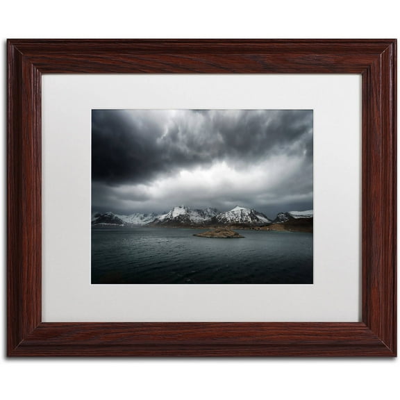 Trademark Fine Art "Grey" Canvas Art by Philippe Sainte-Laudy, White Matte, Wood Frame