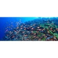 thumbnail image 4 of OM Systems Tough TG-7 12MP 4K 2160p Underwater Digital Camera, Black (V110030BU000), 4 of 11