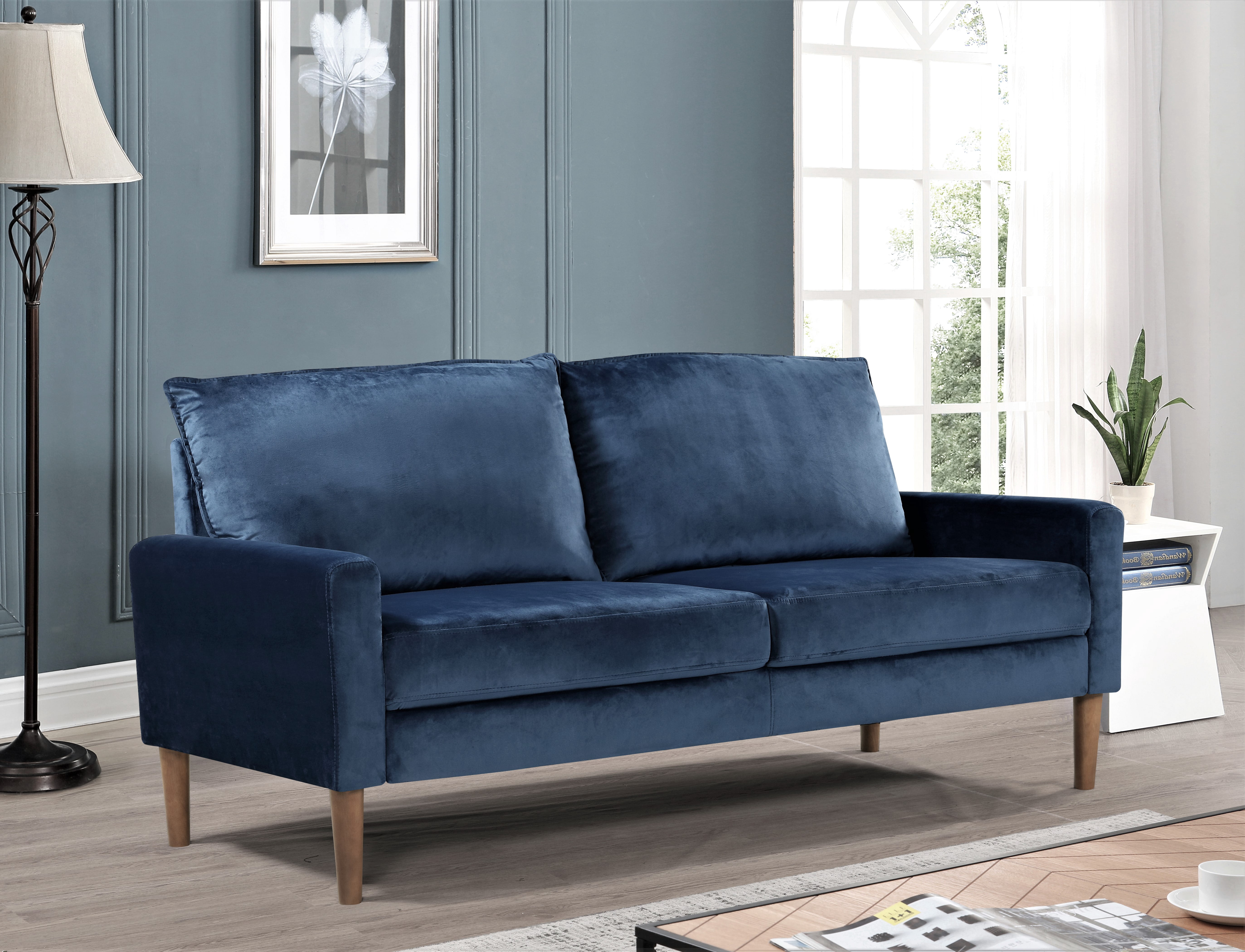 Beily Velvet Square Arm 2 Pieces Living Room Set