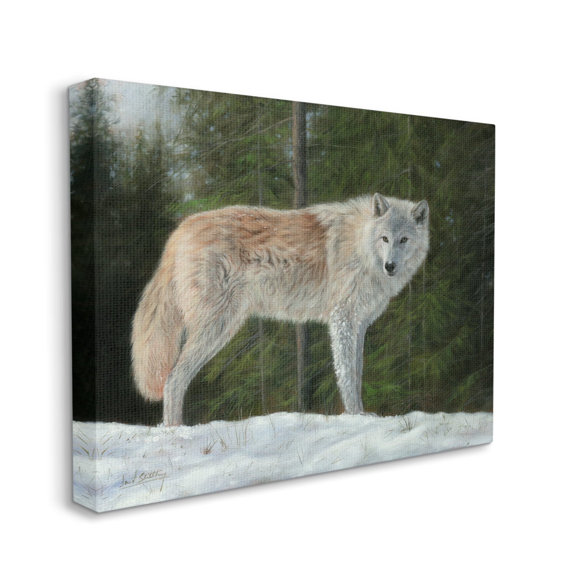 Stupell Industries Wild Coyote Wolf Gazing Snowy Forest Clearing Painting Gallery Wrapped Canvas Print Wall Art, Design by David Stribbling