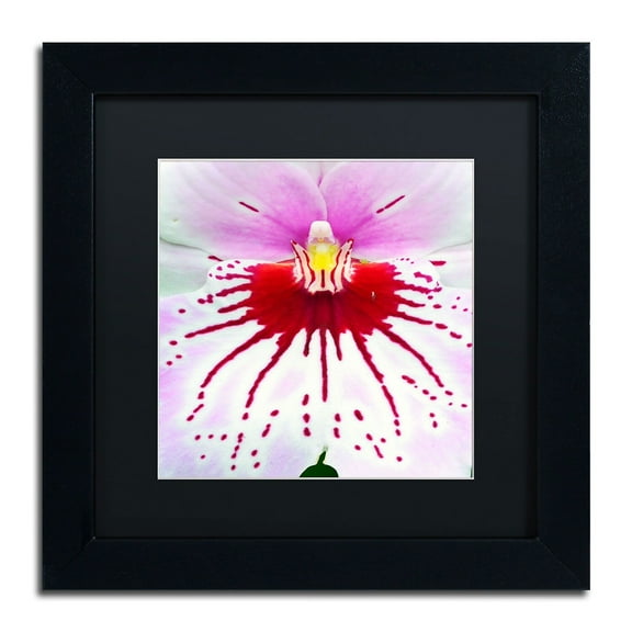 Trademark Fine Art "Mother Natures Imagination Orchid" Canvas Art by Kurt Shaffer, Black Matte, Black Frame