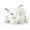 7pcs style-D, variant on 7pcs Artificial Assorted Pumpkins Mini Fake Pumpkins Artificial Vegetables for Halloween Harvest Thanksgiving Party Decorations (7pcs style-A)