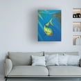 thumbnail image 2 of Trademark Fine Art 'Mahi Mahi' Canvas Art by Geno Peoples, 2 of 4