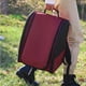 thumbnail image 3 of Greeniant Bolsa de transporte para pájaros, de lona, ​​transportador de animales pequeños, portátil, transparente, con Suministros para gatos Rojo, 3 of 6