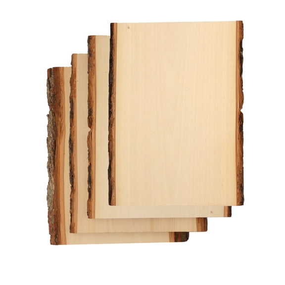Foggy Bottom Premium Basswood Live Edge Plank 0.63" X 9 to 11"  X 13", 4-PACK