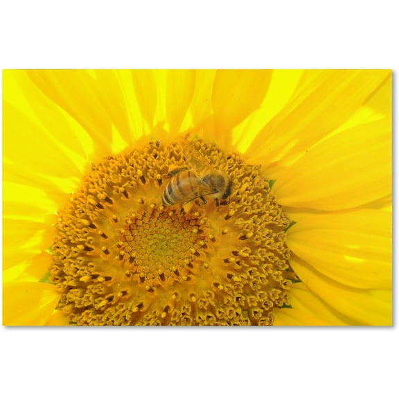 Trademark Fine Art "Honey-Maker" Canvas Art by Monica Fleet