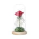 thumbnail image 1 of Naiovety Regalo del día de San Valentín Color Hoja de oro Lámpara de flor de rosa con cubierta de vidrio Adornos de decoración Lámpara de decoración Jardín y Patio Naiovety HA022015-00, 1 of 6