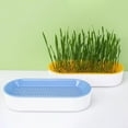 thumbnail image 4 of opvise Cat Grass Planter Soilless Planting Visible Water Level Drain Grid U-hole Sturdy Sink Detachable Catnip Grow Box Green, 4 of 8