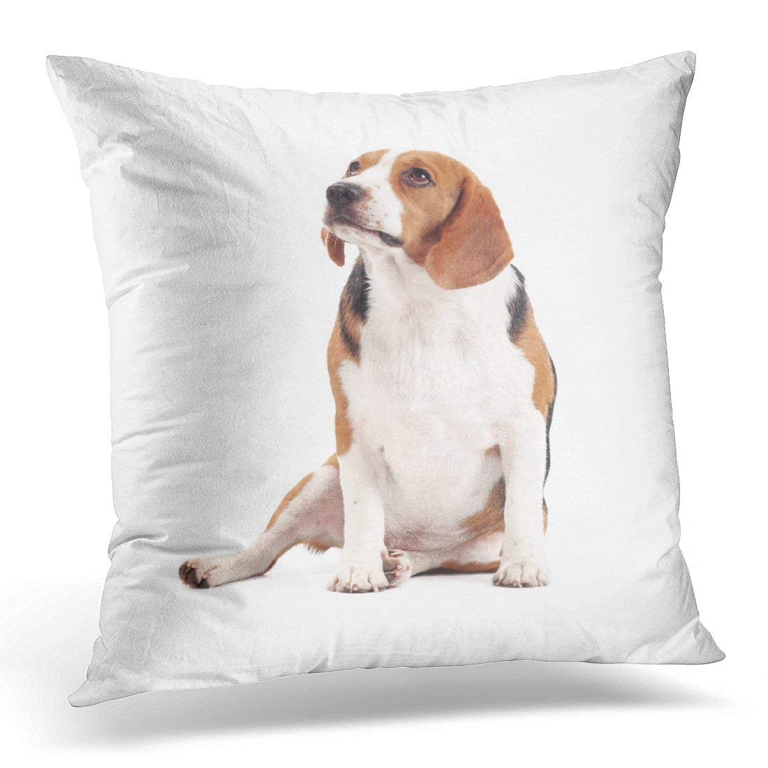 BSDHOME Brown Adorable Beagle Dog White Anmal Pillow Case Pillow Cover ...