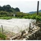 thumbnail image 5 of Jardin Filet Anti Insecte Potager: 2 x 5 m Maille Fine Protection pour Poireaux Arbre Fruitier Jardinage Voile de Plantes Blanche, 5 of 5