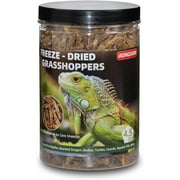 JADINGSFARM Freeze Dried Grasshoppers – 4.5 Oz High Protein Freeze Dried Grasshoppers for Reptiles, Food for Bearded Dragons Lizards, Geckos, Birds, Hedgehogs