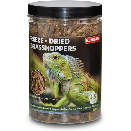 JADINGSFARM Freeze Dried Grasshoppers – 4.5 Oz High Protein Freeze Dried Grasshoppers for Reptiles, Food for Bearded Dragons Lizards, Geckos, Birds, Hedgehogs