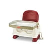 Fisher Price Healthy Care Deluxe Booster