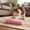 Pink, variant on Cat Pillow Toys with Catnip, Soft Plush Crinkle Cat Kicker Toy, Interactive Indoor Kitten Chew Exercise Toy, Promotes Self Play for All Breeds Kitty